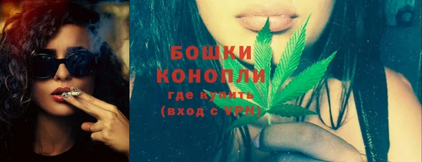 твердый Абаза