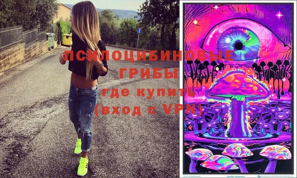 твердый Абаза