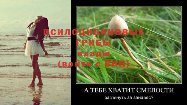 a pvp Абдулино