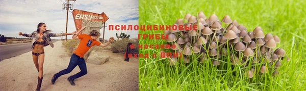 твердый Абаза