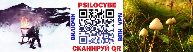 наркотики  Нюрба  даркнет официальный сайт  Галлюциногенные грибы Cubensis 